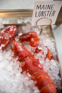 maine-lobster